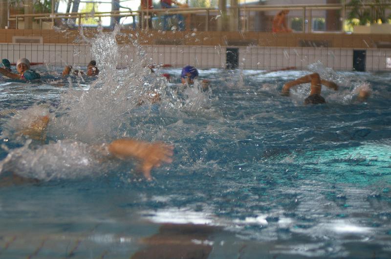 triflers2008 10200.jpg